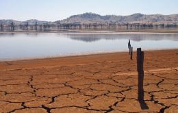 New South Wales with its fifth-driest July on record, has been hardest hit and about 99% of the state in officially in drought