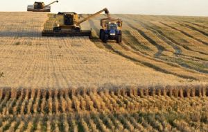 The Buenos Aires Grains Exchange has a preliminary wheat harvest estimate of 19/20 million tons, also above what it says is the current record of 17.75 million tons