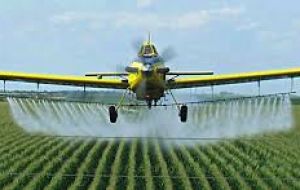 Glyphosate is the world's most common weedkiller. The California ruling could lead to hundreds of other claims against Monsanto