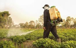 “If the decision is maintained, Brazil would be the first country to totally restrict the use of glyphosate,” the government said in the appeal filed on Wednesday