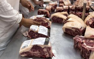 The volume between 400,000 and 470,000 tons is well above the 200,000 tons sold last year. China in seven months purchased 96.000 tons of Argentine beef 