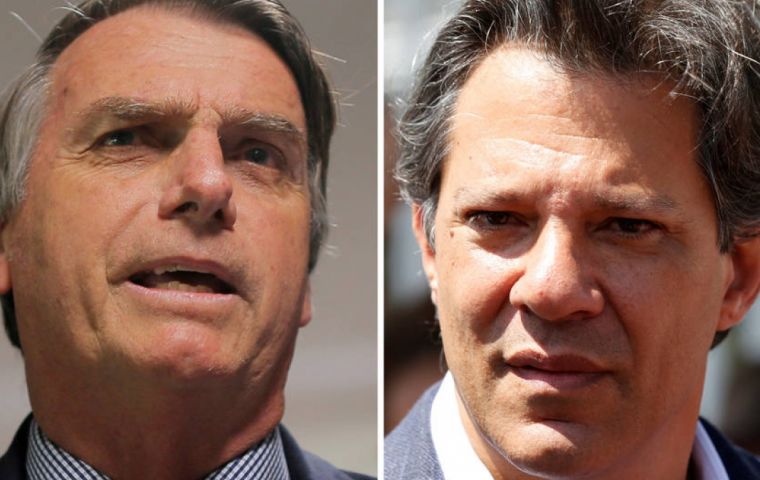 Bolsonaro and Haddad are polarizing the Brazilian electorate 