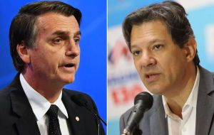 Bolsonaro and Haddad emerged from the October 7 election first round as the two clear leaders of a classic left versus right political battle