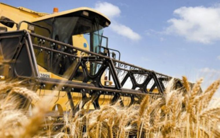 Lower wheat production will reduce Australia’s wheat export capacity, supporting global benchmark prices that rose to their highest in more than two months
