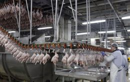 Europe banned 20 Brazilian chicken plants because of food safety concerns, while Russia froze imports of the country’s pork for nearly a year