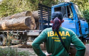 Bolsonaro has routinely attacked Ibama, which is tasked with policing the Amazon rainforest to stop deforestation and illegal mining.