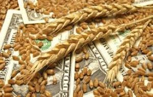 Also delayed are a quarterly report on US grain stocks, a final US crop production report for 2018 and USDA's report on winter wheat seedings for harvest in 2019