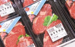 The shipment is a first step for the entry of Argentine beef from all over the country to Japan