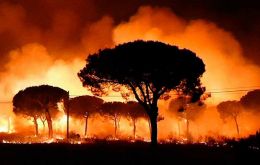 The report, released by WWF Spain, said the fires cost the continent an estimated €3 billion (US$3.4 billion) An average of 300,000 hectares of forest burn every year in Europe, European data show.