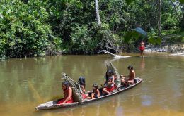 Rich in gold, manganese, iron and copper, the Waiapi's territory is deep inside the Amazon, which has faced growing pressure from miners, ranchers and loggers