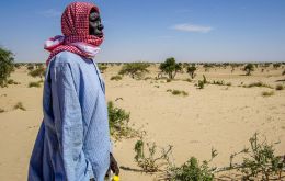 Desertification threatens the village of Tantaverom. Mbo Malloumu has taken the initiative to plant acacia seedlings to rehabilitate the land.(Pic UNDP/Chad)
