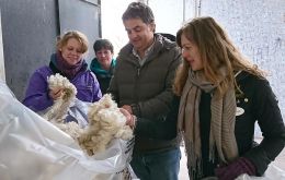 Examining wool at SUL - the Uruguayan Secretariat Wool research facility (Pic. F Peck)
