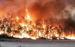 The fires in the states of Queensland and New South Wales, many out of control, have destroyed at least 20 properties