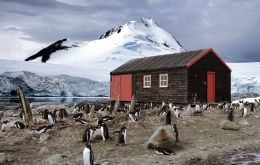 Working in sub-zero temperatures, with no mains electricity or running water, the team will run the world’s most southerly public post office, manage Port Lockroy’s living museum and monitor the resid