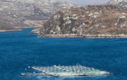 Loch Duart has used the technology to launch sting operations on outlets suspected of selling inferior fish, falsely bearing the company's brand.