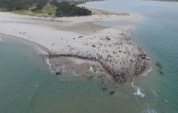 “Seven whales that stranded at Matarangi Spit are being looked after by as many as 1,000 people,” the marine conservation group Project Jonah said in a statement.