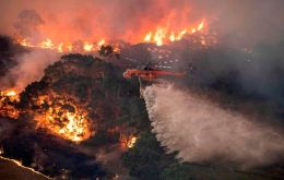 Almost five million hectares (50,000 square kilometers) have been razed across the state since late September, according to the NSW Rural Fire Service commissioner
