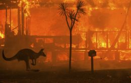 Some 53% of Australians have donated to a bushfire appeal during this season, a survey conducted by the fundraising and marketing consultancy More Strategic