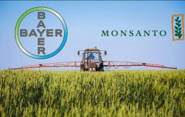 Bayer, which bought Roundup maker Monsanto for US$63 billion in 2018, welcomed the findings