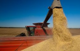 Rains at the end of February in Brazil delayed harvesting and subsequent exports, leading to record low stocks of soy and soy meal in China.