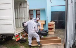 Cases exploded in May, reaching a peak of more than 8,000 per day late in the month. More than 7,000 Peruvians have died from the disease