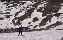 Italy's National Research Council said the pink snow observed on parts of the Presena glacier is likely caused by the same plant found in Greenland.