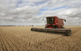 Wheat production forecasts have been raised for India and the Russian Federation, more than offsetting a cutback to the EU and the UK expected outputs.
