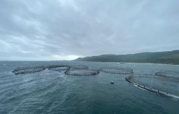 The fine, handed to salmon farming company Mowi, formerly known as Marina Harvest, was the largest ever for an environmental offense in Chile