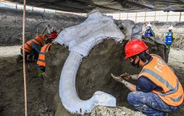 Remains of dozens of the extinct mammoth giants and other prehistoric creatures skeletons have been found in Zumpango on an ancient lake bed