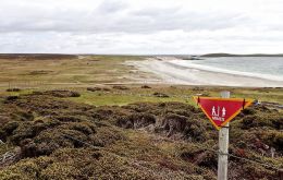 Minefield signs have been a familiar sight in Stanley and Camp for over 38 years; some members of the community having never known the Falklands without them.(Pic  by Fenix Insight)