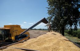 The strong demand in the domestic market and the record export volumes have led Brazil to renew maximums in soy imports also this year