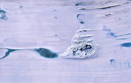 Hydro-fracture occurs when liquid water, denser than ice, exerts sufficient extra pressure on cracks in ice shelves to open them right through to the ocean below.