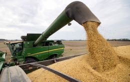 The area planted with soybeans in the US was  almost 600,000 hectares below market projections, a new USDA report showed
