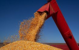 The previous record had been in 2020 when Brazil produced 255.4 million tons of cereals, pulses and oilseeds.