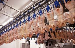 The Brazilian Animal Protein Association (ABPA) said the country supplies 60% of the chicken meat imported into Qatar