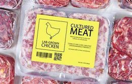 Proponents of cultured meat say it’s healthier and more environmentally friendly than traditional meat. Outside the U.S., only Singapore has cleared the sale of cell-cultured meat.