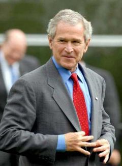 /imgs.php/noticias/10977/240x0/bush1.jpg