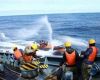 Crew of the Japanese whaling vessel  spray water at activists