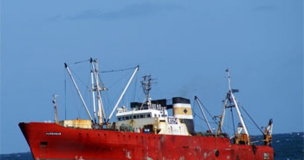 Argentina Sets TAC For Hoki Patagonian Toothfish And Southern Blue Whiting MercoPress