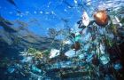 Thousands of square kilometres of plastic garbage adrift