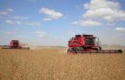 In 2001, the area planted with soybeans in Paraguay was 1.350.000 hectares
