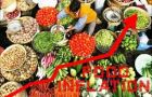 Bolivia, Paraguay, Uruguay reported annual food inflation above 10%