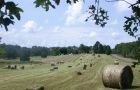 Farms will have a max area of 67 hectares compares to the current 13 hectares limit