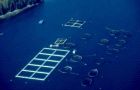 Most is concentrated in Asia but Norway and Chile lead in salmon farming