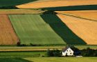 Farming takes the lion’s share of the EU budget