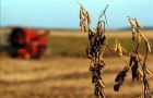 The losses of the 2008/09 drought have been estimated over 340 million dollars