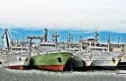 Spanish vessels docked in the port of Montevideo, after undergoing Argentine ‘frisking’