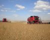 But estimates show corn could surpass 2011/12 soy crop in tonnage 