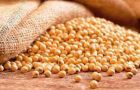Like other Mercosur members, Paraguay is betting on an abundant soy crop