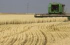 Farmers are trying to harvest in water-logged fields